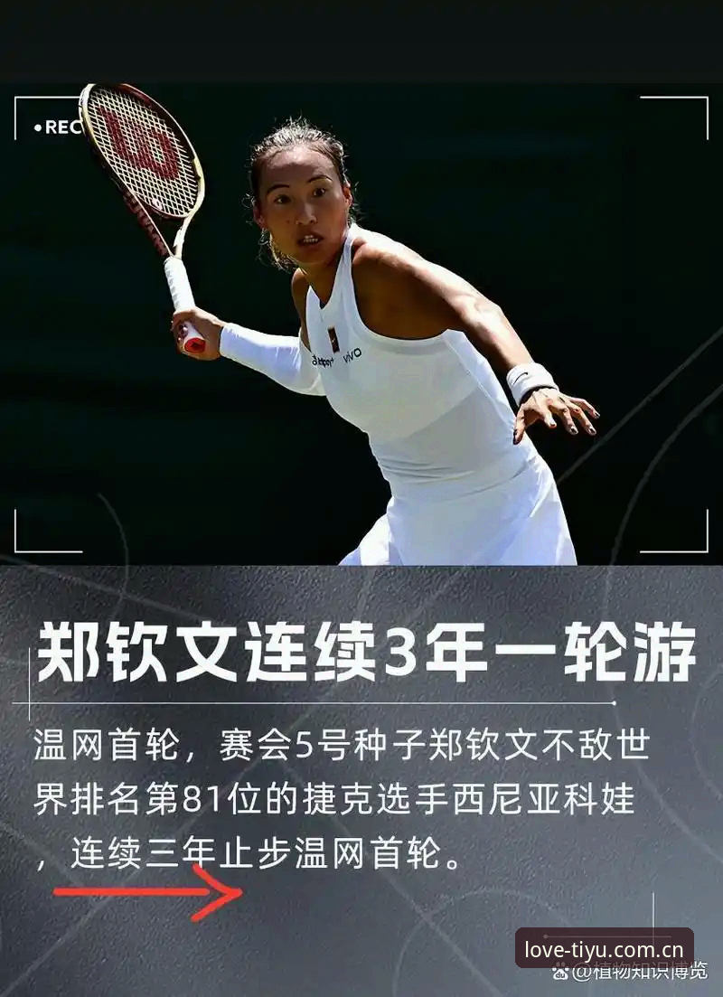 穿越排位陷阱：郑钦文巴特洪堡外卡爆发之后的系统验证
